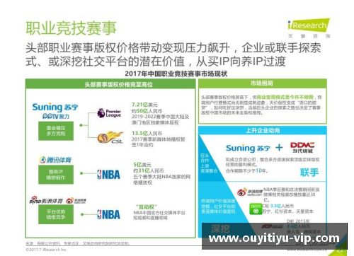 欧亿体育NBA盈利模式分析与商业策略探讨