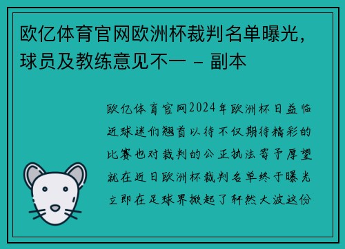 欧亿体育官网欧洲杯裁判名单曝光，球员及教练意见不一 - 副本