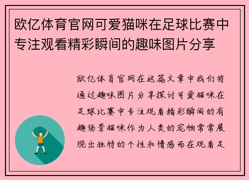 欧亿体育官网可爱猫咪在足球比赛中专注观看精彩瞬间的趣味图片分享